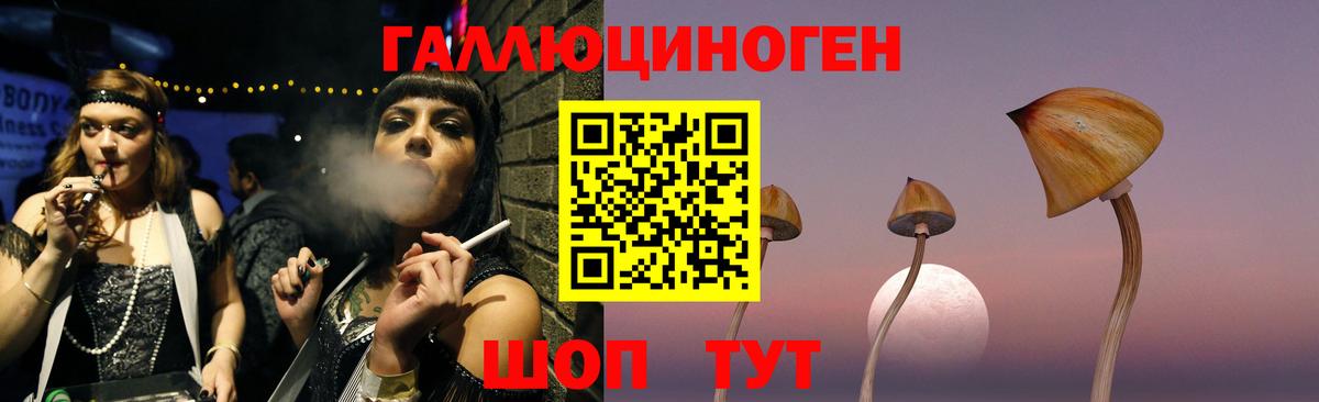 Светлоград  Галлюциногенные грибы GOLDEN TEACHER  Вход с VPN 